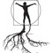 enroot