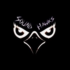 SoundHawks