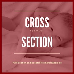 Cross Section (Neonatal-Perinatal)