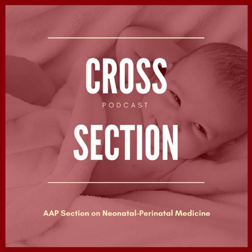 Cross Section (Neonatal-Perinatal)’s avatar