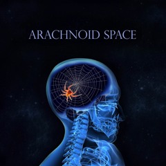 Arachnoid Space