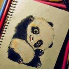 Maha Khaled
