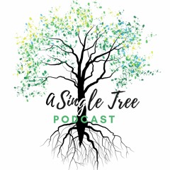A Single Tree Podcast