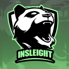 Insleight