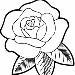 stop bleeding on my preme