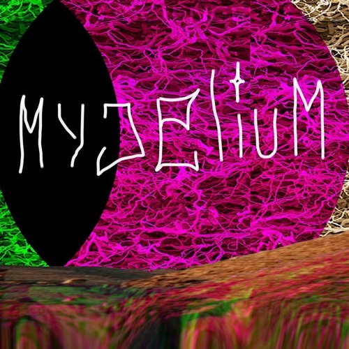 mycelium’s avatar