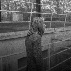 MoonBridge