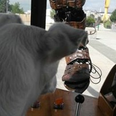 Deathco va te faire ...