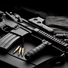 GUNZ'N'BEATZ|FR3F|2F|FR33DOMFIGHTERZ|R3CORDZ|L3B3L