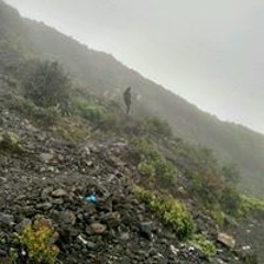 Samuel Winata Lavender