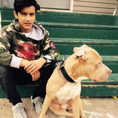 lamborghini hernandez