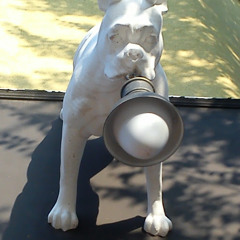 Вероника Пирог