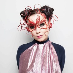 The Björk Archives