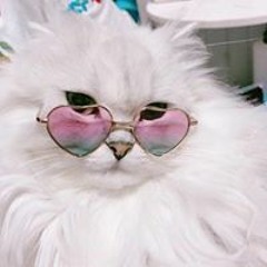 user749061955
