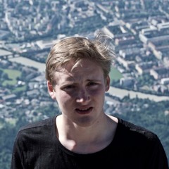 wittymerlin