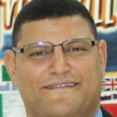 Hisham Hemeda Al-sharqawy