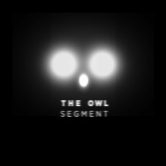 The Owl Segment