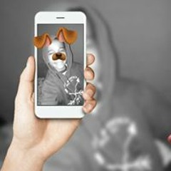 Mc jr pássaro ferido