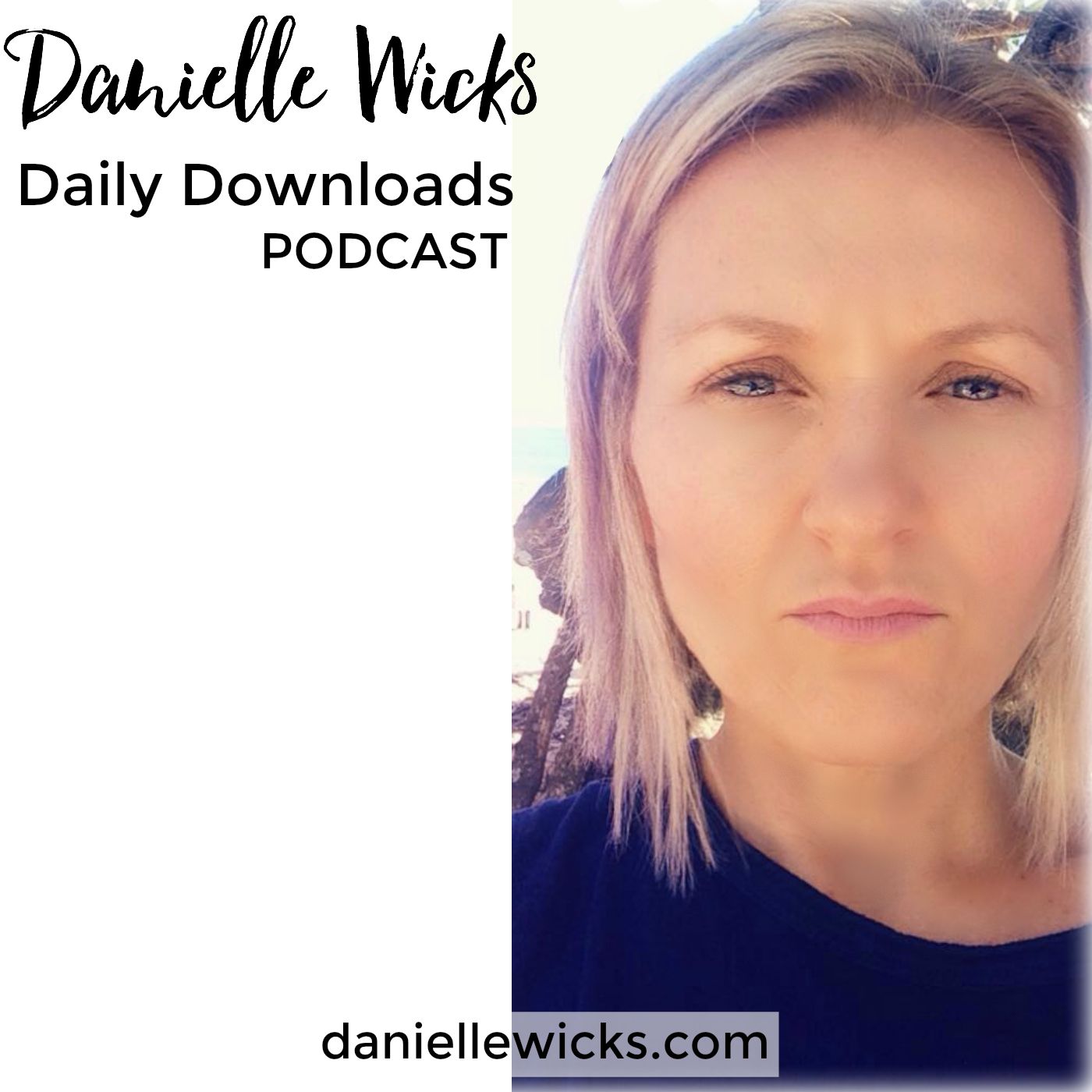 Daily Downloads