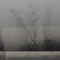 Northern Dark Spot (N.D.S)