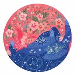 Andy 대한민국