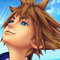 Noctoregis