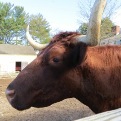 Melissa Cover-Tribute to Gregg Allman