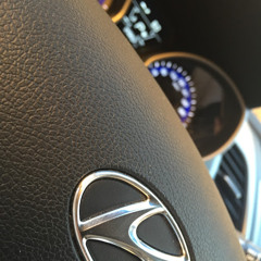 فيصل.الشهري الوليدي