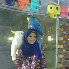 Noha Sayed