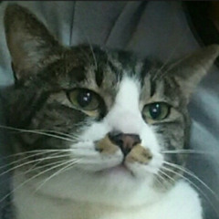 HYUNSUK KWON (북거북거)