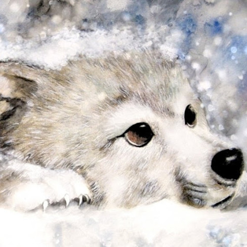 Waffwl Wolf’s avatar