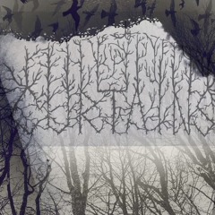 Curtains (David Brian Anderson)