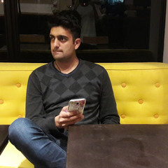 Raja Hamza