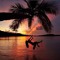 Paradise Bundles