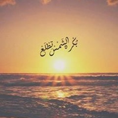 Mohamed Gamal Younis