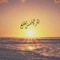 Mohamed Gamal Younis