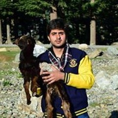 Hassan Khan Alizai