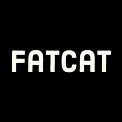 FatCat Musico