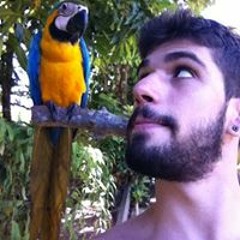 André Pintor