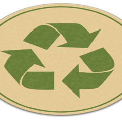 guia básico reciclagem