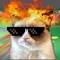 Cat Clip