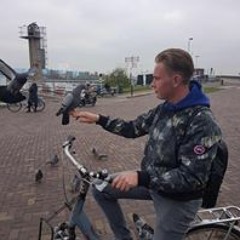Bob Wisse