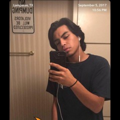 Christopher Flores Cerda