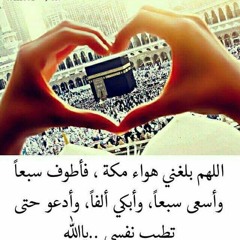 user519603061