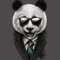 Dancing Panda