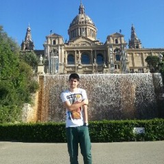 Stefan Florin Ionescu