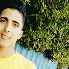 Mahmoud Z Kholy