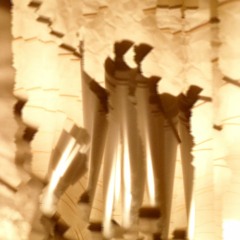 Did you make love to your hand to create the stars