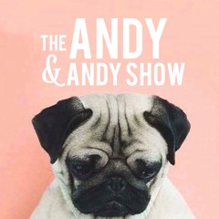 The Andy & Andy Show