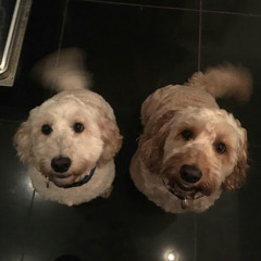 lets pull it down inst mix ab oz